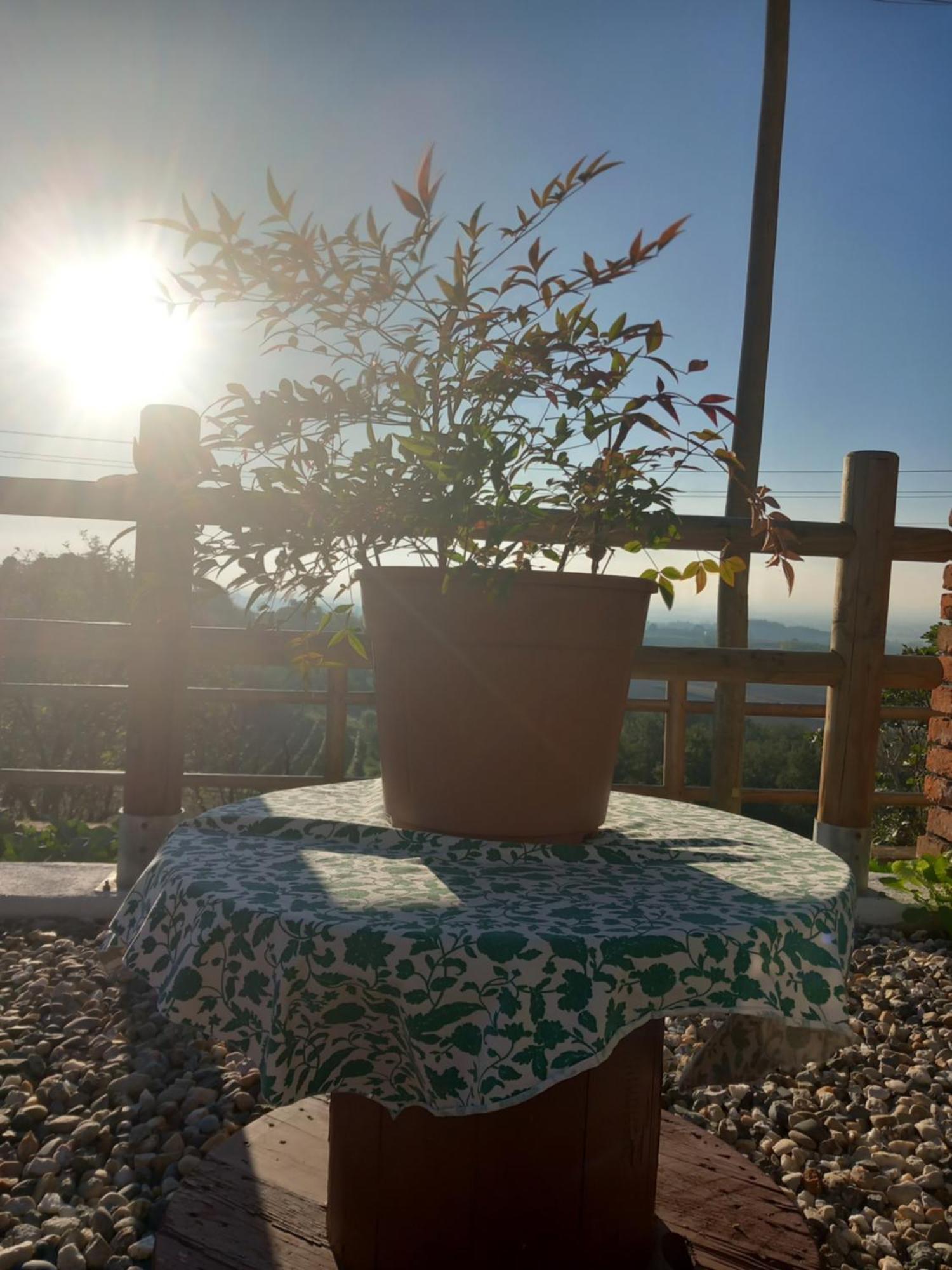 Il Cortile Di Greta Bed & Breakfast Lu (Piedmont) Eksteriør bilde