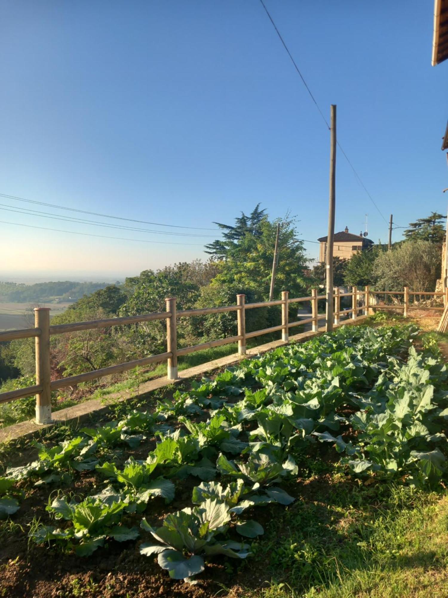 Il Cortile Di Greta Bed & Breakfast Lu (Piedmont) Eksteriør bilde